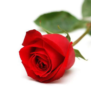 Meet your Posher, Saibeth